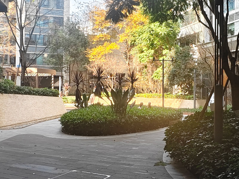 龙湖紫宸香颂实景效果图